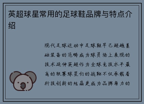 英超球星常用的足球鞋品牌与特点介绍
