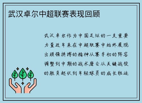 武汉卓尔中超联赛表现回顾